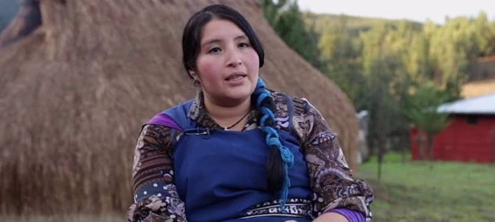Educadora Mapuche es hostigada y amenazada por su defensa de la infancia y los DDHH