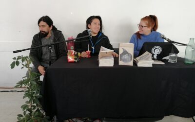 Anotaciones sobre la locura de Elisa Monti