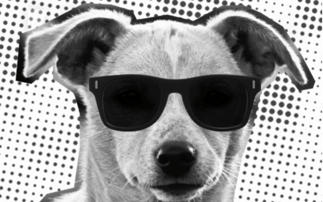 Descarga el Fanzine Perrita Sudaka:  feminismo, música y ddhh