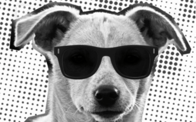 Descarga el Fanzine Perrita Sudaka:  feminismo, música y ddhh