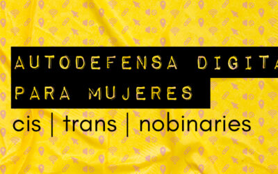 [INFORME] Chile y la violencia de género en Internet: experiencias de mujeres cis, trans y no binaries