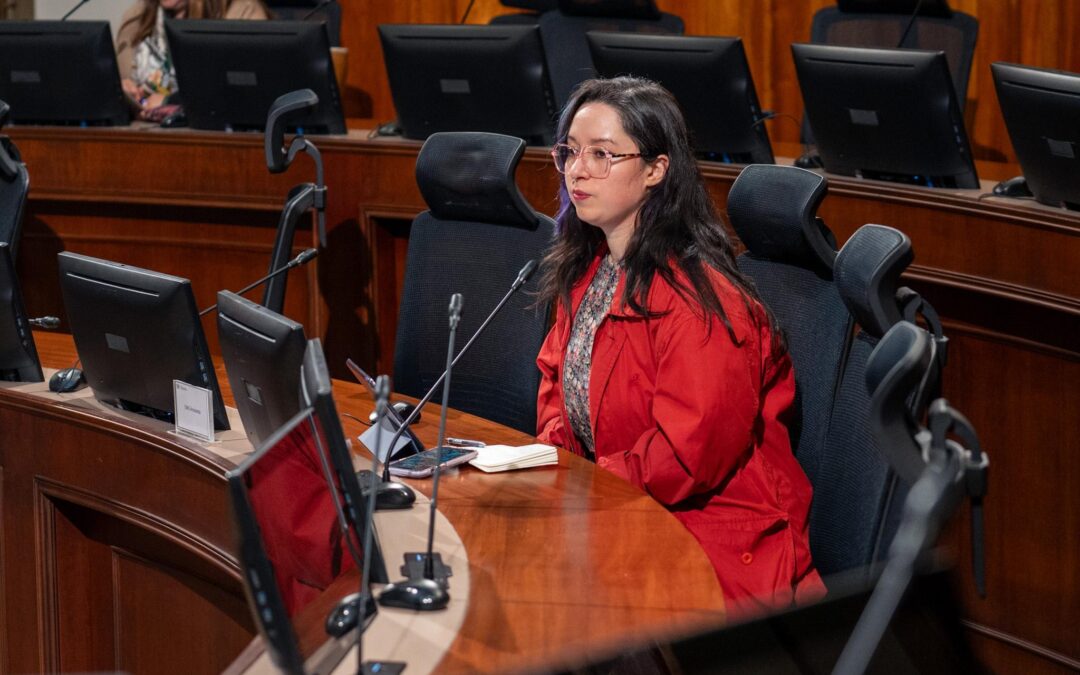 Estuvimos en la Comisión de Mujer del Senado incidiendo por una Ley de Violencia Digital para Chile