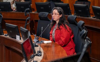 Estuvimos en la Comisión de Mujer del Senado incidiendo por una Ley de Violencia Digital para Chile