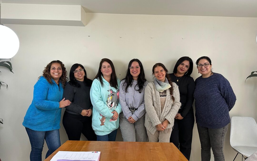 Proyecto Fondo de Acción Urgente  Violencia digital hacia mujeres sordas